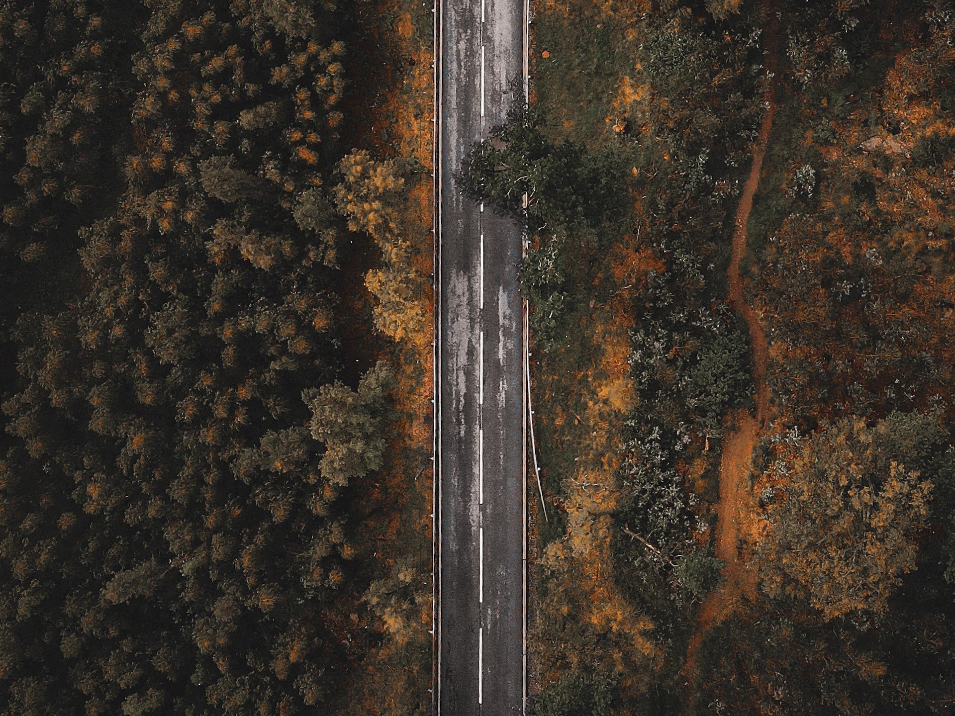 Software Development at and with Bytecraft - Part 1: Perspective